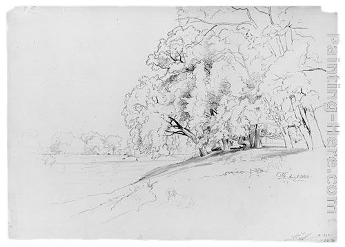 David Johnson Trees and Dog